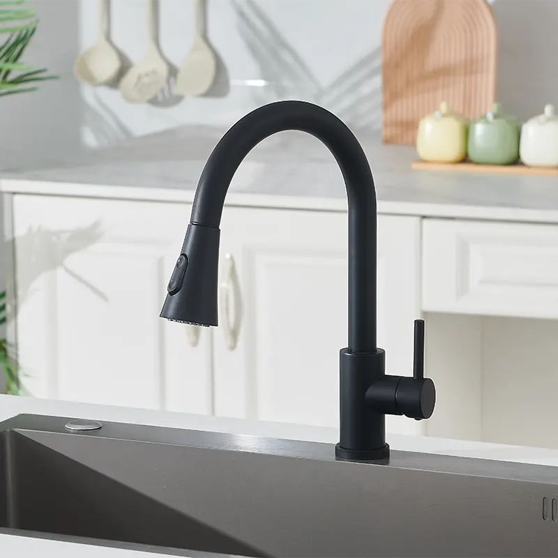 Black Pull-Out Kitchen Faucet