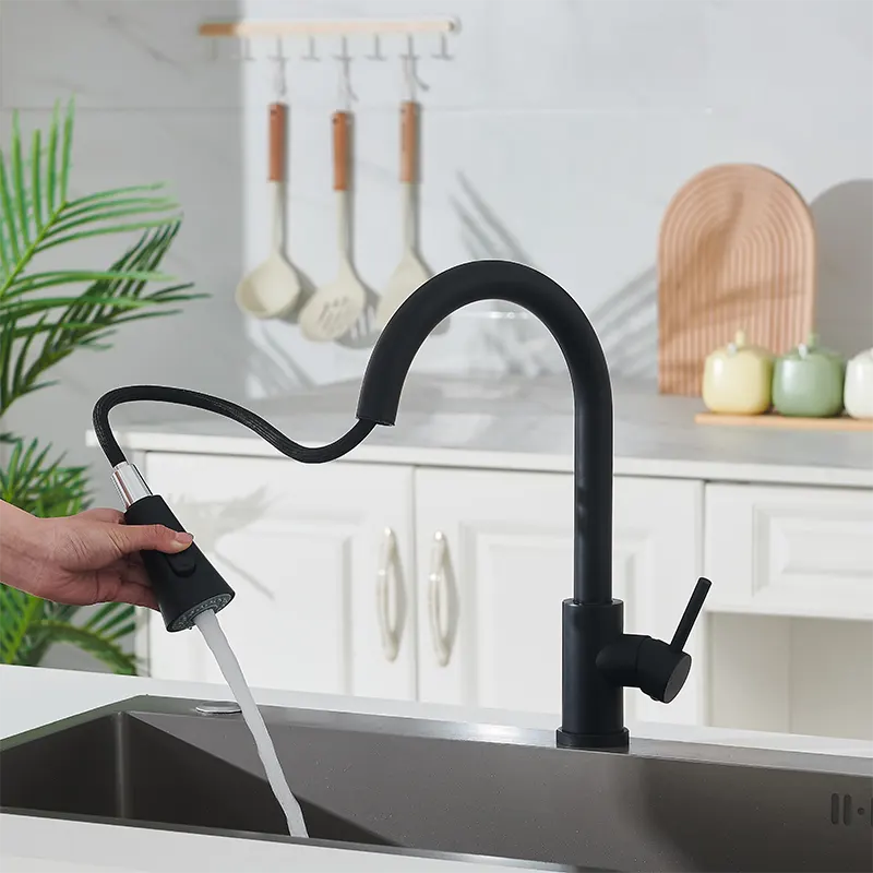 Black Pull-Out Kitchen Faucet